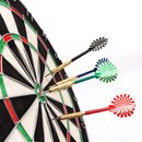 12 Pcs of 18 Grams Professional Metal Darts for Dartboard